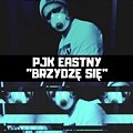 PJK Eastny - Brzydzę się