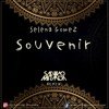 Selena Gomez - Souvenir (SaLvino Miranda Remix)