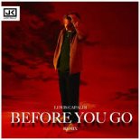 Lewis Capaldi - Before You Go (AL3X!SJ Mashup)