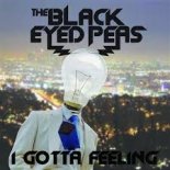 The Black Eyed Peas - I Gotta Feeling (DiVij remix)