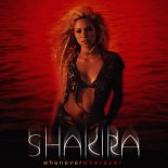 Shakira - Whenever, Wherever (Flame Bootleg)
