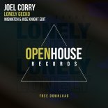 Joel Corry - Lonely Gecko (Mismatch & Jose Knight Edit)