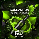 Soulvation - Bassline Drops (Radio Edit)