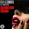 Filv & Edmofo feat. Emma Peters & Imanbek - Calndestina Cocaina (djSuleimann IndaMix)