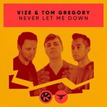 VIZE & TOM GREGORY - Never Let Me Down (Extended Mix)