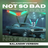 Yves V & Ilkay Sencan feat. Emie x Robert Falcon & Skytech & Robbie Mendez - Not So Bad (SAlANDIR VERSION)