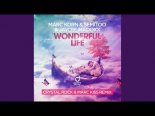 Marc Korn & Semitoo & Jaycee Madoxx - Wonderful Life (Crystal Rock & Marc Kiss Extended Mix)