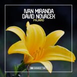 IVAN MIRANDA & DAVID NOVACEK - Pajaro (Leventina Remix)
