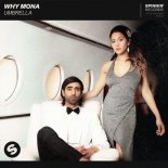 Why Mona - Umbrella (Extended Mix)