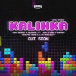 Timmy Trumpet X Wolfpack FT. Jaxx & Vega X R3SPAWN - Kalinka (Dimitri Vegas & Like Mike Extended Edit)