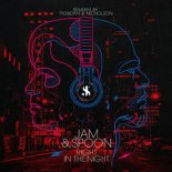Jam & Spoon feat. Plavka - Right In The Night (Pig&Dan Extended Remix)