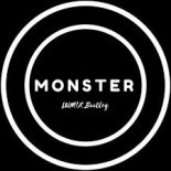 Meg & Dia - Monster (Lumix Remix)