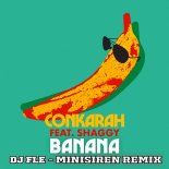 Conkarah feat. Shaggy - Banana (DJ FLe - Minisiren Remix)