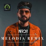 NRD1 - Melodia Remix (Extended Version)