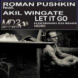 Roman Pushkin & Akil Wingate - Let It Go (Elektroniki Djs Remix)