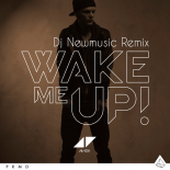 Avicii feat Aloe Blacc - Wake Me Up (Dj Newmusic Remix)