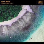 Olly Wall - Hidden Beaches (Original Mix)