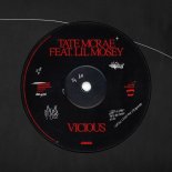 Tate McRae feat. Lil Mosey - Vicious
