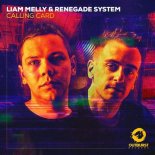 Liam Melly & Renegade System - Calling Card (Extended Mix)