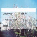 LittGloss - The Feeling (Original Mix)