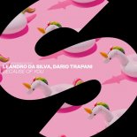 Leandro Da Silva & Dario Trapani - Because Of You (Extended Mix)