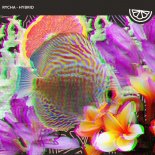 Rycha - Hybrid (Original Mix)
