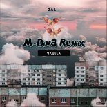 MC Zali - Чудеса (M-DimA Remix)