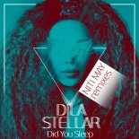 Dila Stellar & NITI MAY - Did You Sleep (NITI MAY Extended Club Remix)