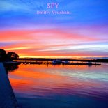 Dmitry Vyushkin - Spy (Original Mix)