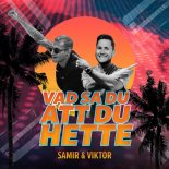 Samir & Viktor - Vad Sa Du Att Du Hette (Original Mix)