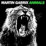 Martin Garrix - Animals ( PDV RMX )