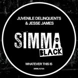 Juvenile Delinquents, Jesse James - Whatever This Is (Original Mix)