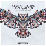 Christian Liebeskind Feat. Karo Lynn - Chasing Owls (CJ Stone Edit)