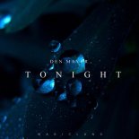 Den Mayer - Tonight (Original Mix)