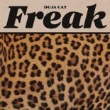 Doja Cat - Freak (Original Mix)