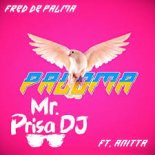 Fred De Palma feat. Anitta - Paloma (Mr. Prisa Deejay Remix)