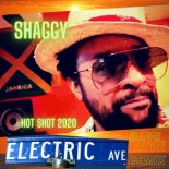 Shaggy - Electric Avenue (Dave Aude Extended Mix)