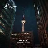 Wrigley - Hypnotized (Original Mix)