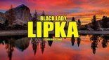 Black Lady - Lipka (Cover Rokiczanka 2020)