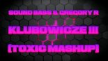 SOUND BASS & Gregory R - KLUBOWICZE !!! (Toxic MashUp)