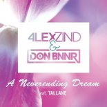 Alex Zind & Don Bnnr feat. Tallane - A Neverending Dream (Radio Edit)