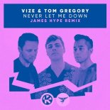 Vize, Tom Gregory - Never Let Me Down (James Hype Remix)