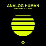 Analog Human - I Wanna See You Sweat (Original Mix)