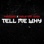 Prezioso X Niels Van Gogh - Tell Me Why (Original Mix)