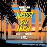 Gorilla Funk - Weisst Du noch (Arnold Palmer Extended Mix)