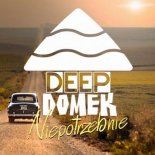 DEEP DOMEK - Niepotrzebnie (Extended Mix)