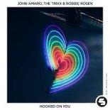 John Amaro, The Trixx & Robbie Rosen - Hooked on You (edit)