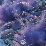 SWIZZNIFE - Letting Go (Radio Edit)