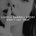 Liufo & Darrel Story - Don\'t Say That