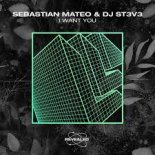 Sebastian Mateo & DJ ST3V3 - I Want You (Extended Mix)